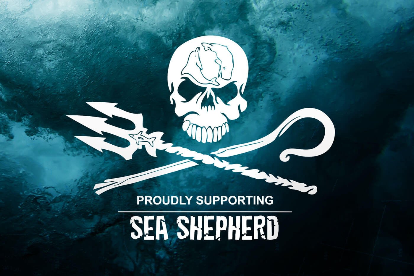 Sea Shepherd - Islay Single Malt Whisky / 43% Vol. 0,7 ltr. - Image 3